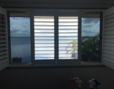 ASWF Moonlight 5 - centre panel not tinted