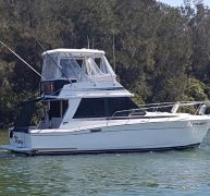 marine tinting